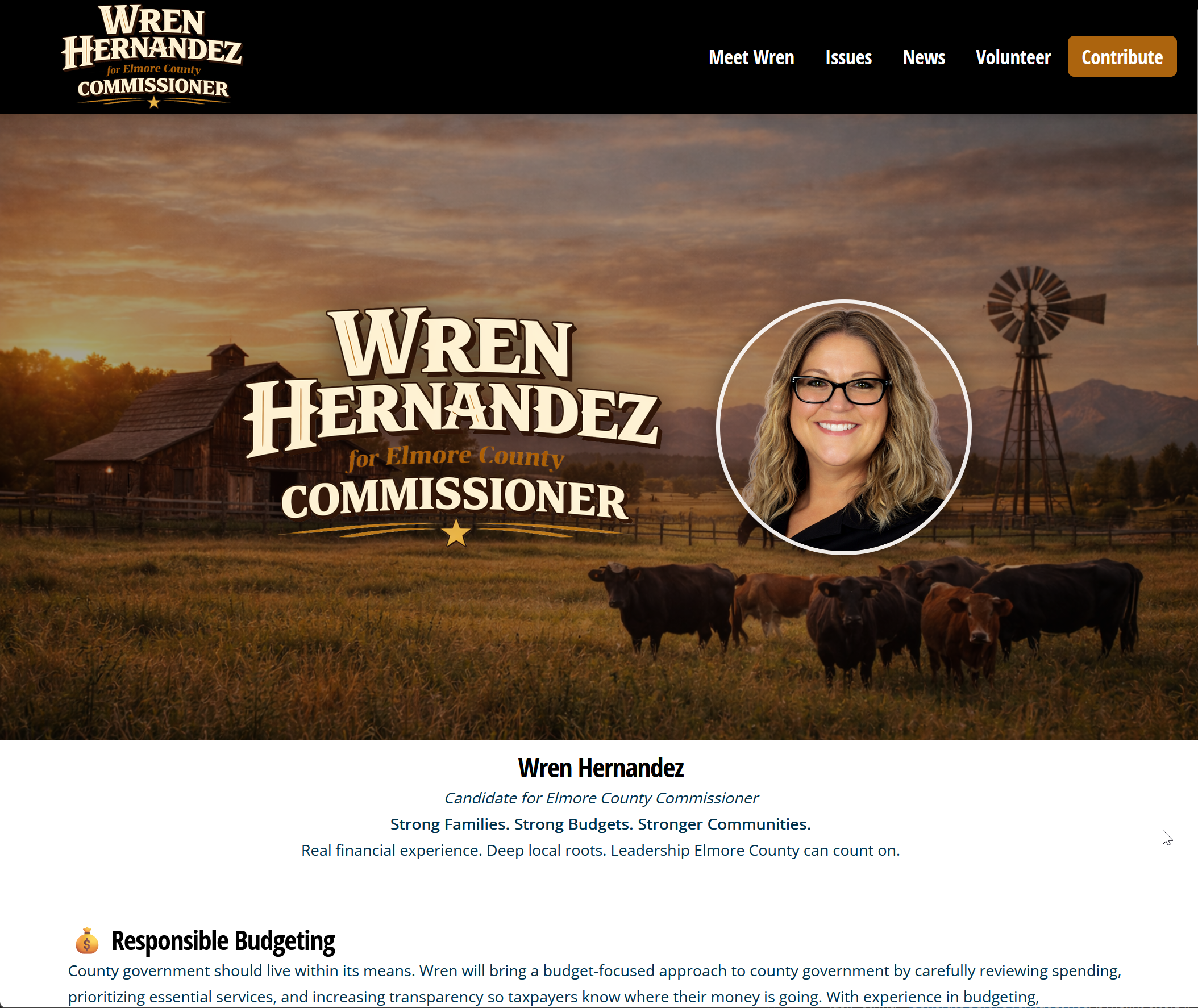 Political campaign website template example - county commissioner home page